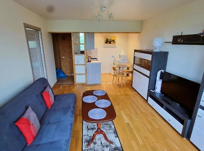 アパート Palanga Apartments パランガ