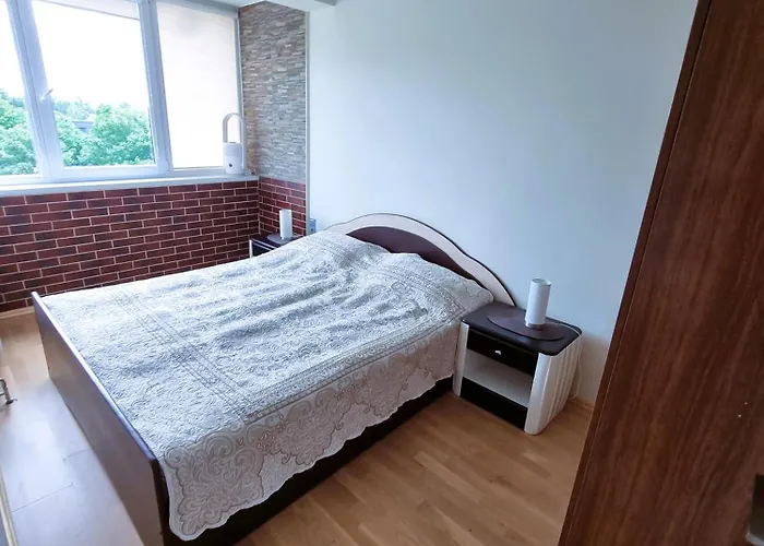 アパート Palanga Apartments パランガ