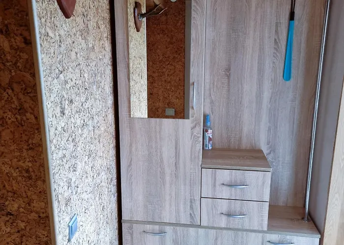 アパート Palanga Apartments *