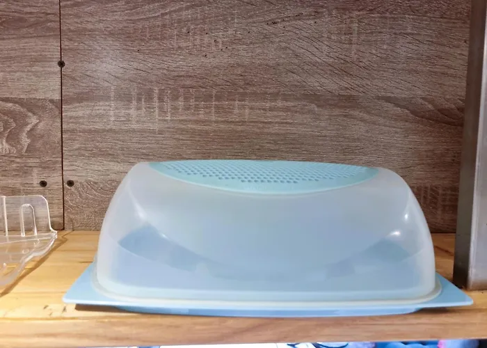 アパート Palanga Apartments パランガ